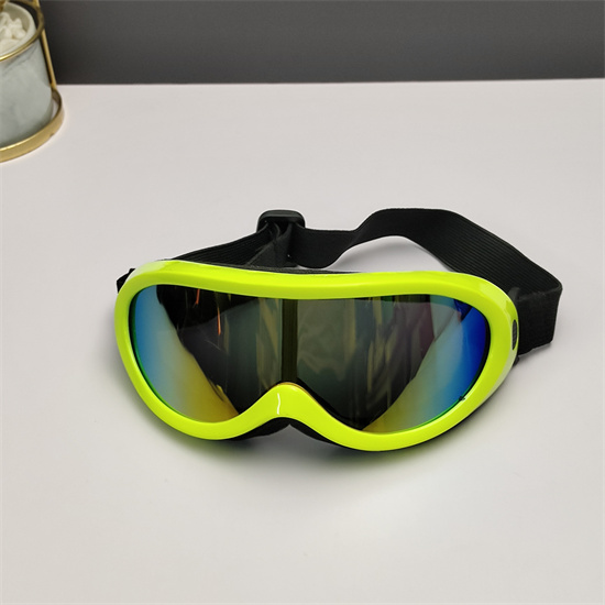 Oakley Ski Goggles 011